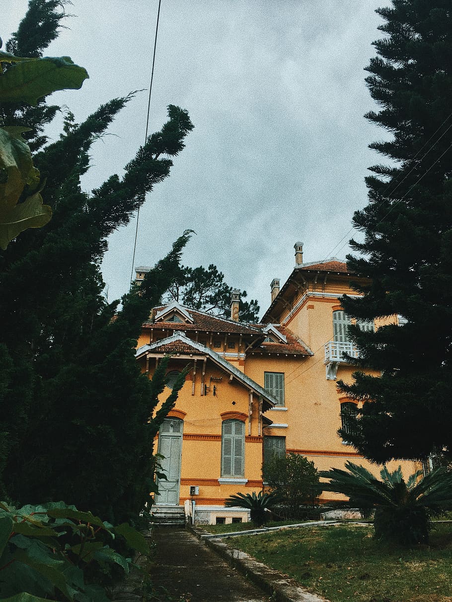 Beige Painted House Near Green Trees, architectural design, architecture HD wallpaper
