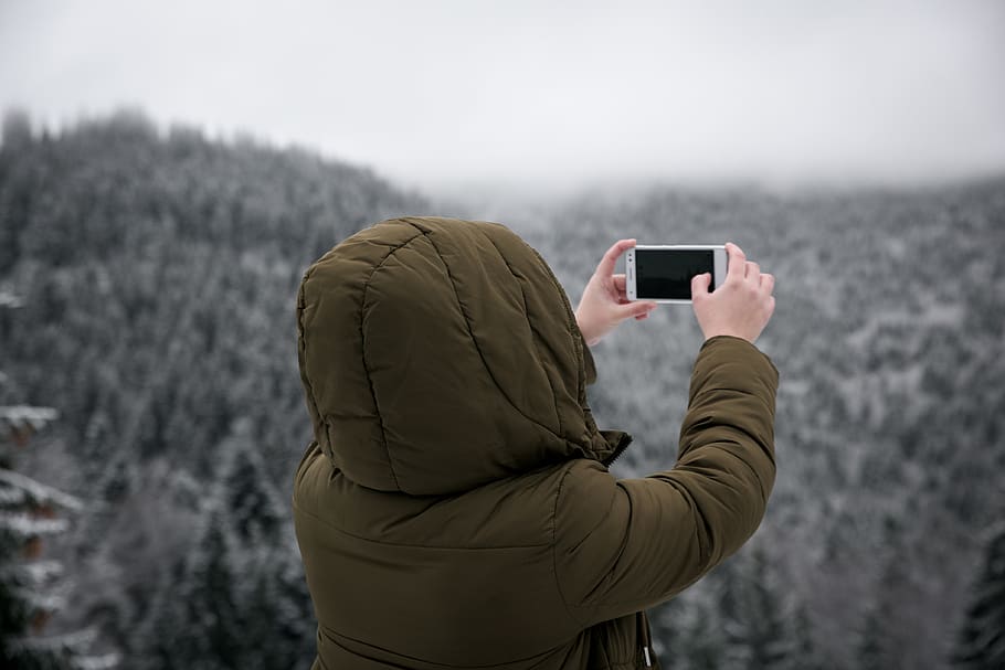 tree, nature, forest, phone, technology, wireless technology HD wallpaper