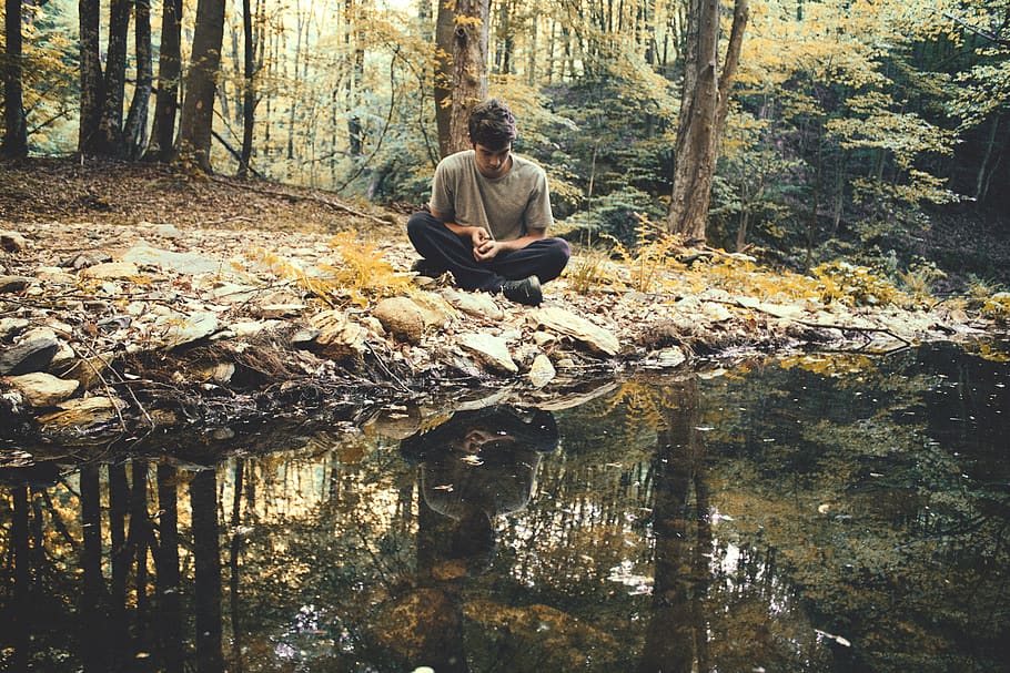 #forest, #trees, #reflexion, #puddle, sitting, one person, real people HD wallpaper