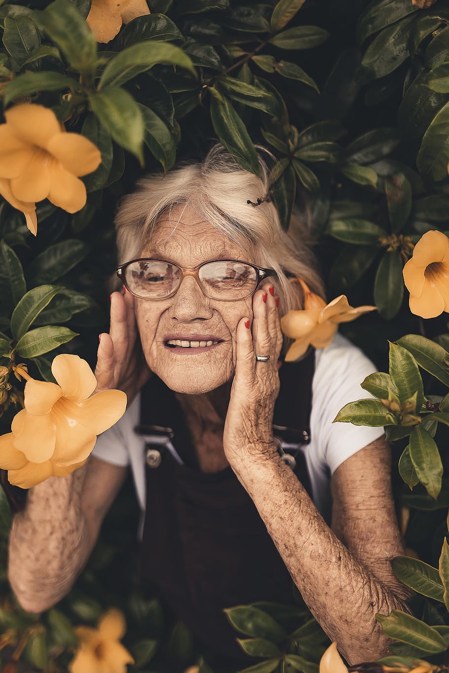 Photo Of Elderly Woman, bloom, blossom, flora, flowers, garden HD wallpaper