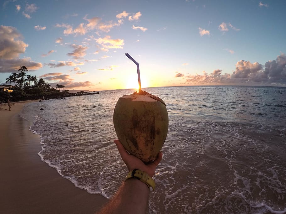 Drinking with a straw out of a fruit in Hawaii., united states, HD wallpaper