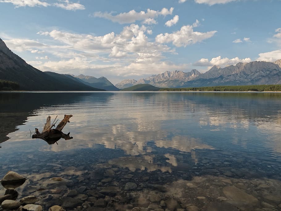 lake kananaskis, canada, calm, log, mountains, reflection, still