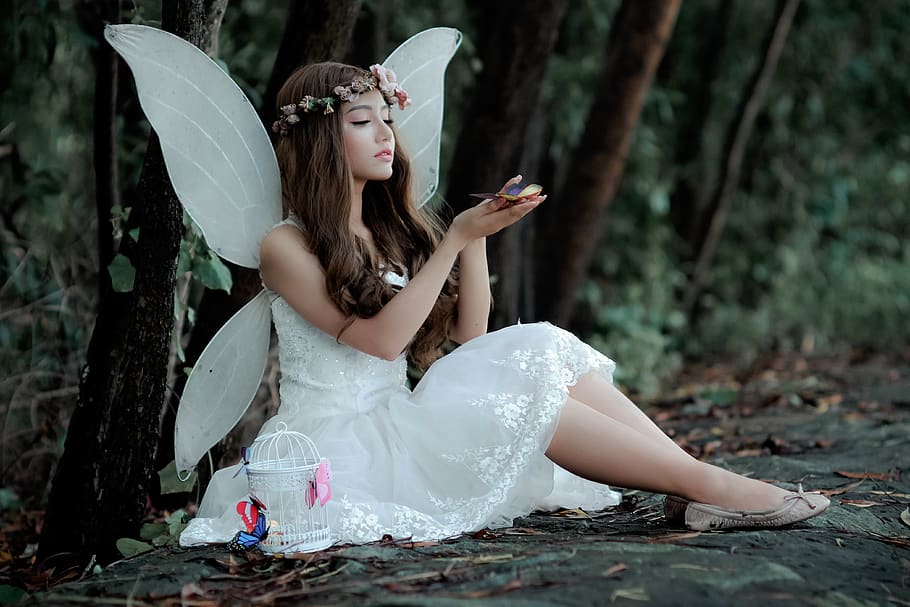 Woman Wearing Fairy Costume, beautiful, butterfly, cute, dress, HD wallpaper