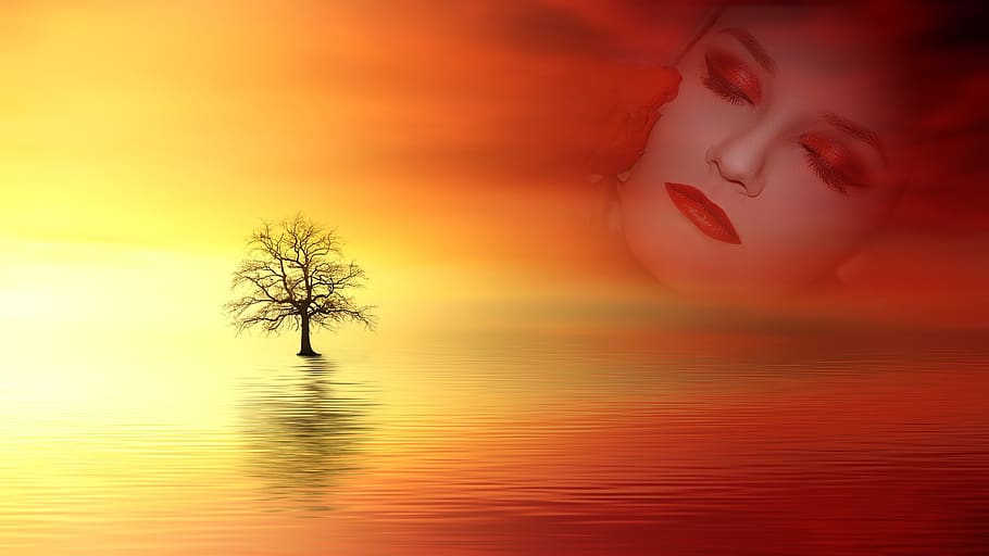 sunset, dawn, dusk, nature, evening, silhouette, beauty in nature HD wallpaper