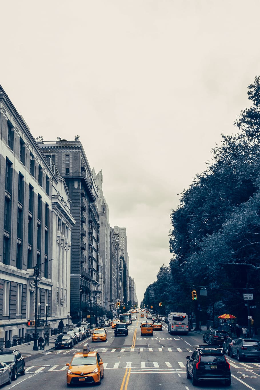 new-york-central-park-taxi-black-and-whi