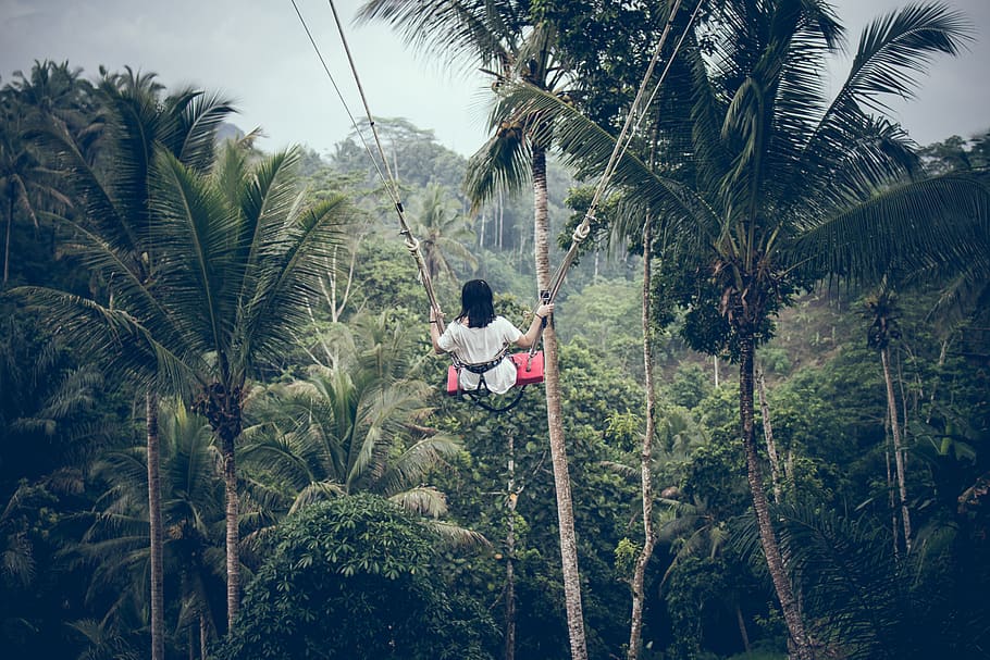 Woman Sitting on Swing, clouds, coconut trees, daytime, forest HD wallpaper