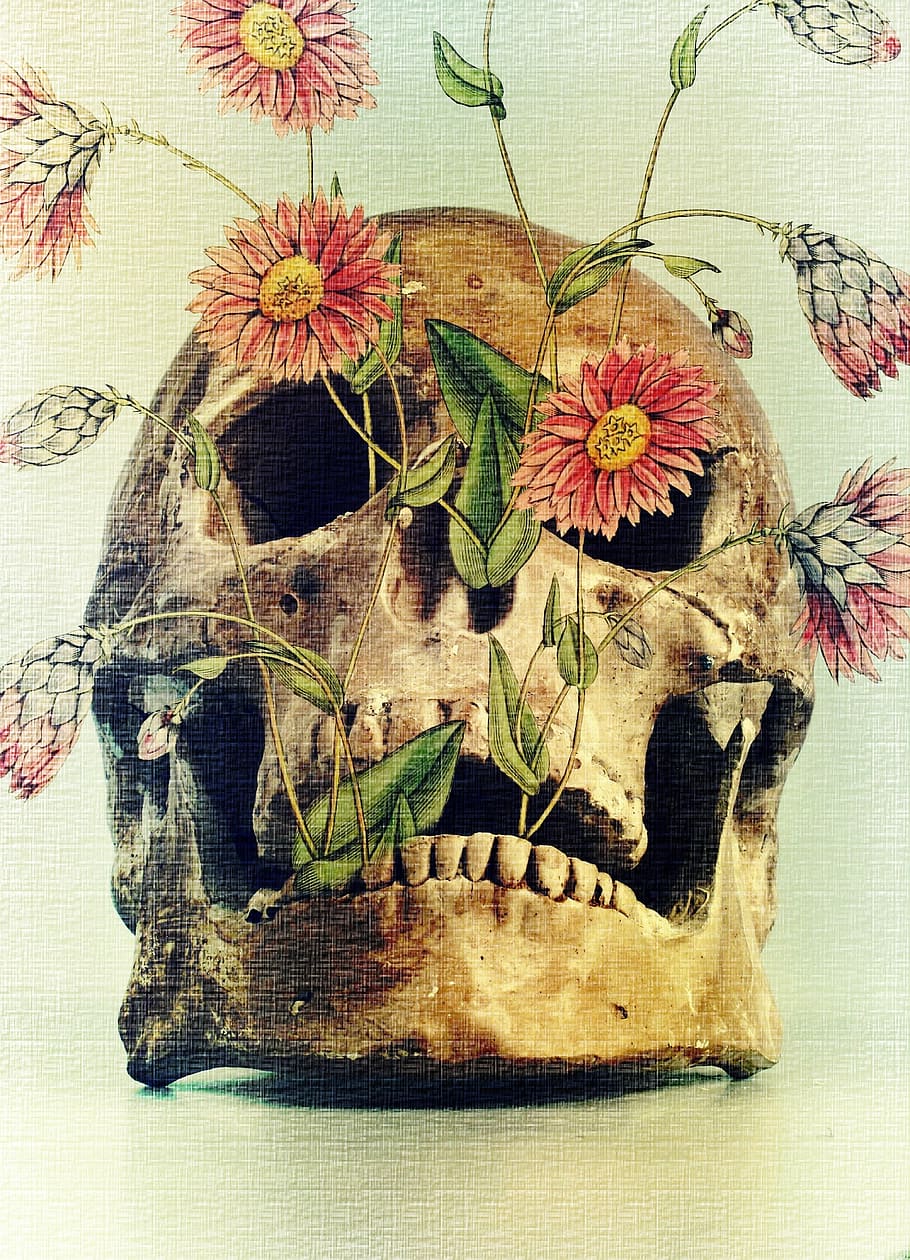 death, skull, flowers, transience, bones, skeleton, dark, head HD wallpaper