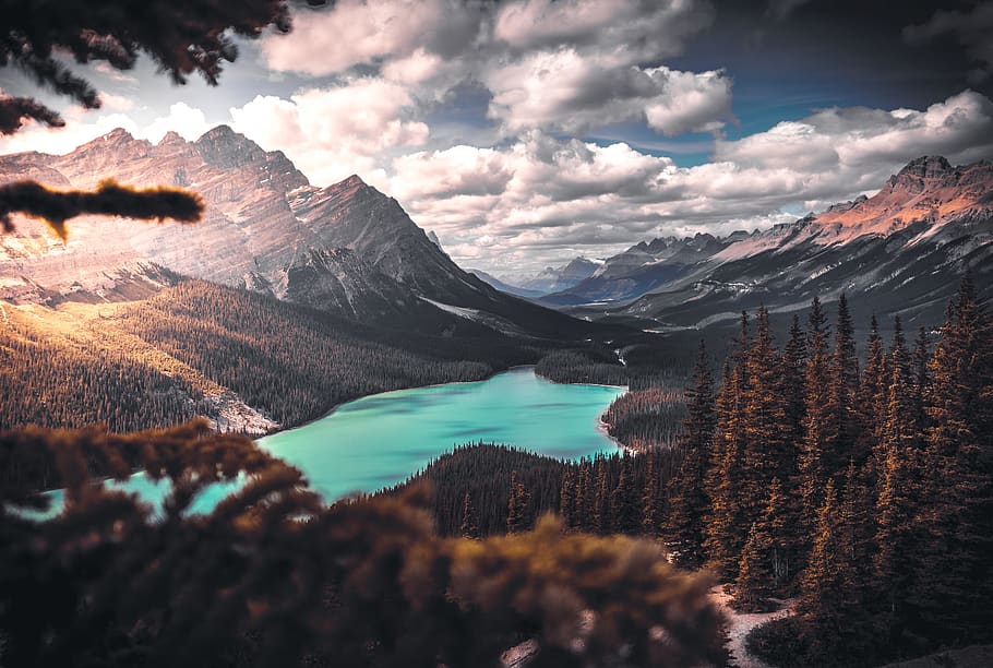 Scenic Photo of Lake Surrounded by Trees, blur, breathtaking HD wallpaper