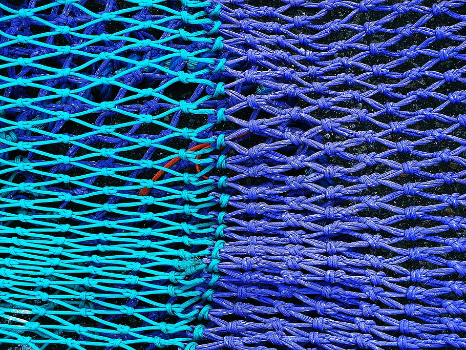 blue and purple net, full frame, backgrounds, pattern, textile HD wallpaper