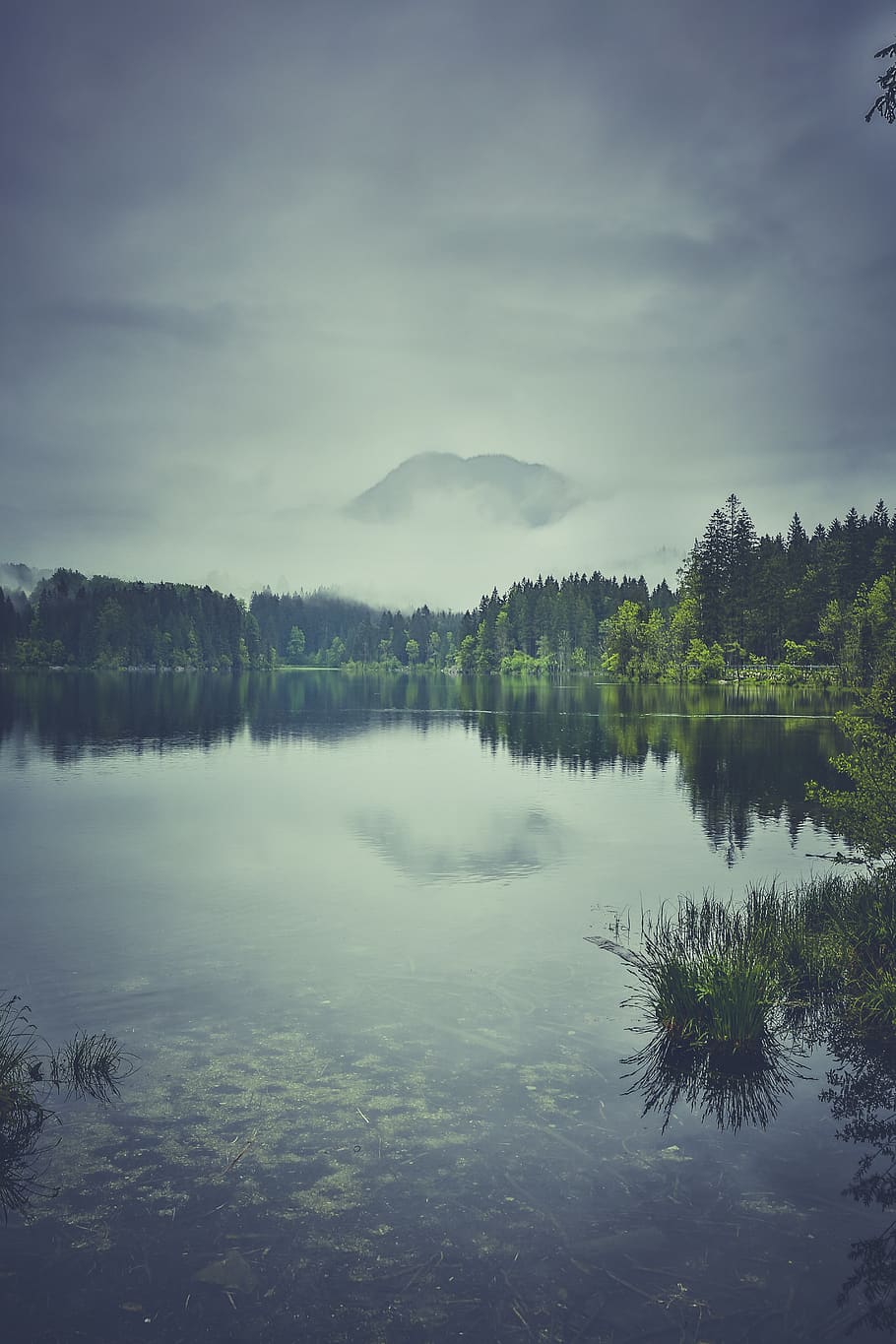 fog, lake, landscape, mountain, nature, trees, water, reflection HD wallpaper