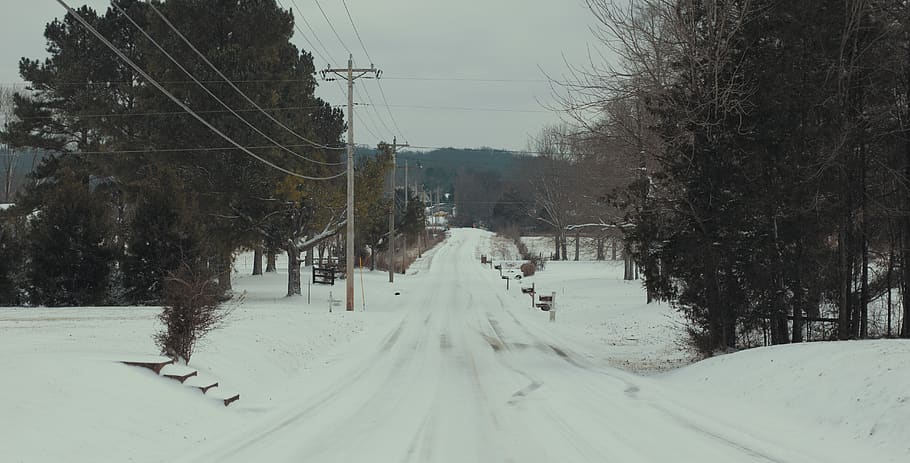 road, street, trees, sky, snow, cold, winter, cold temperature HD wallpaper