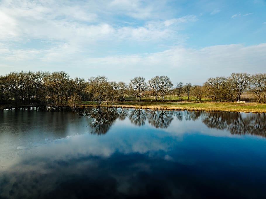 netherlands, balloo, tree, lake, reflection, puddle reflection HD wallpaper