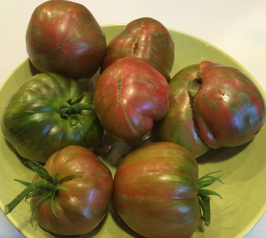 united states, allen, tomatoes in a bowl, striped tomatoes
