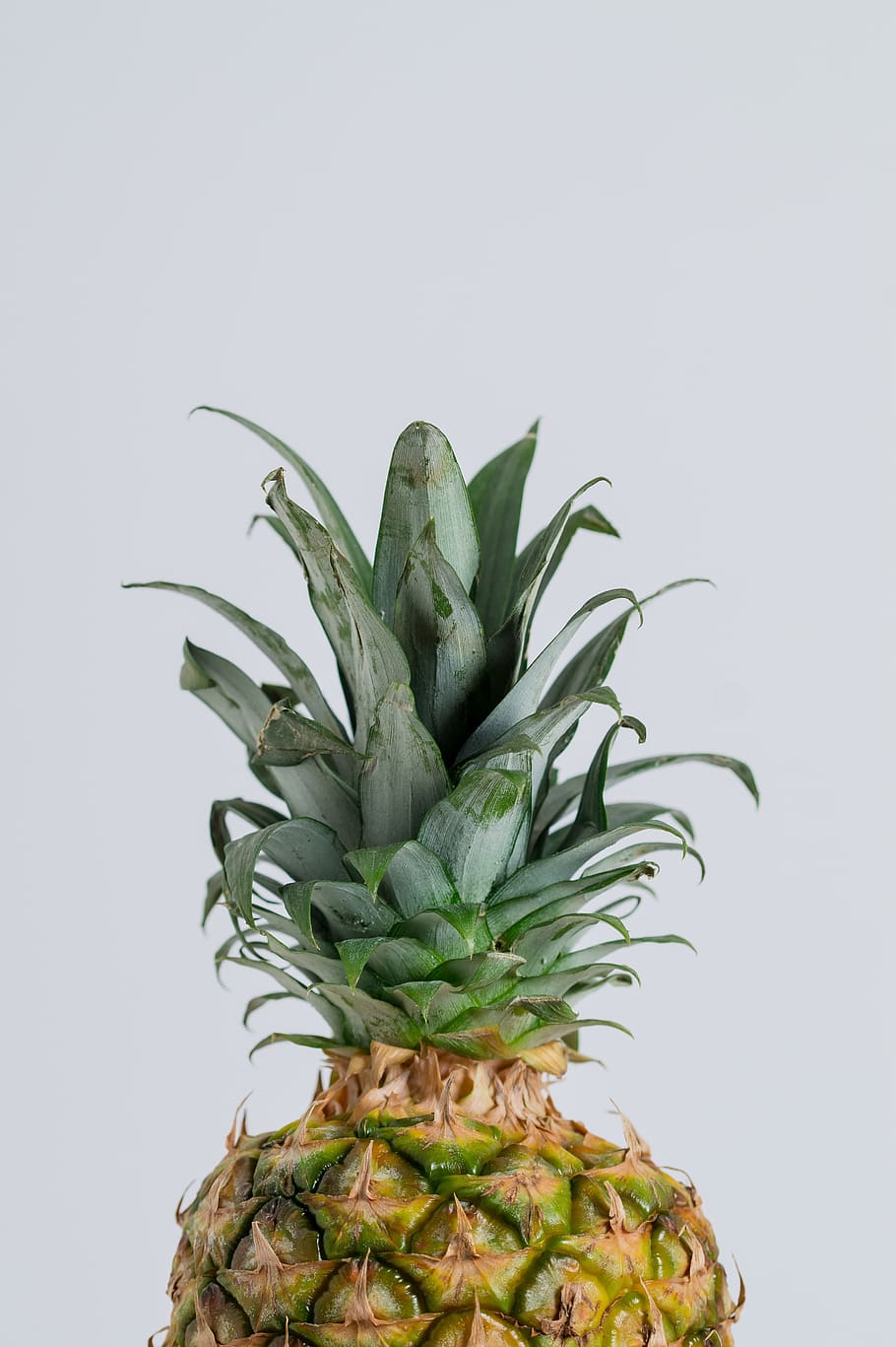 pineapple, nature, desktop background, plant, food, isolated HD wallpaper
