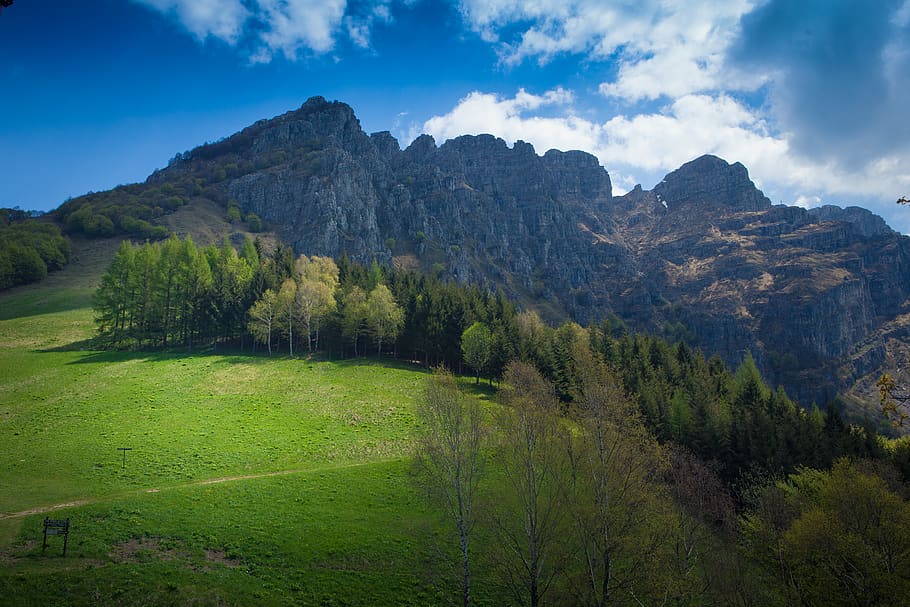 italy, mountain, forest, hill, cloud, grass, scenics - nature HD wallpaper
