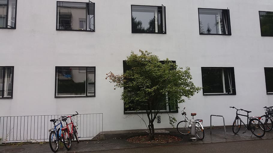 switzerland, bern, bicycle, building exterior, architecture HD wallpaper