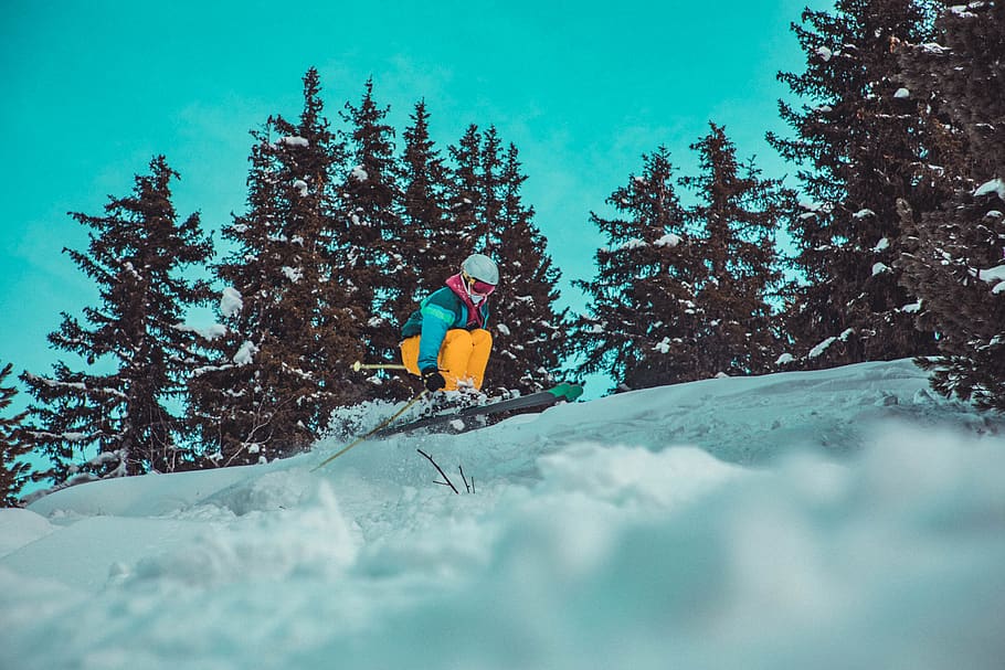 man snowboarding near trees, plant, abies, fir, nature, outdoors HD wallpaper