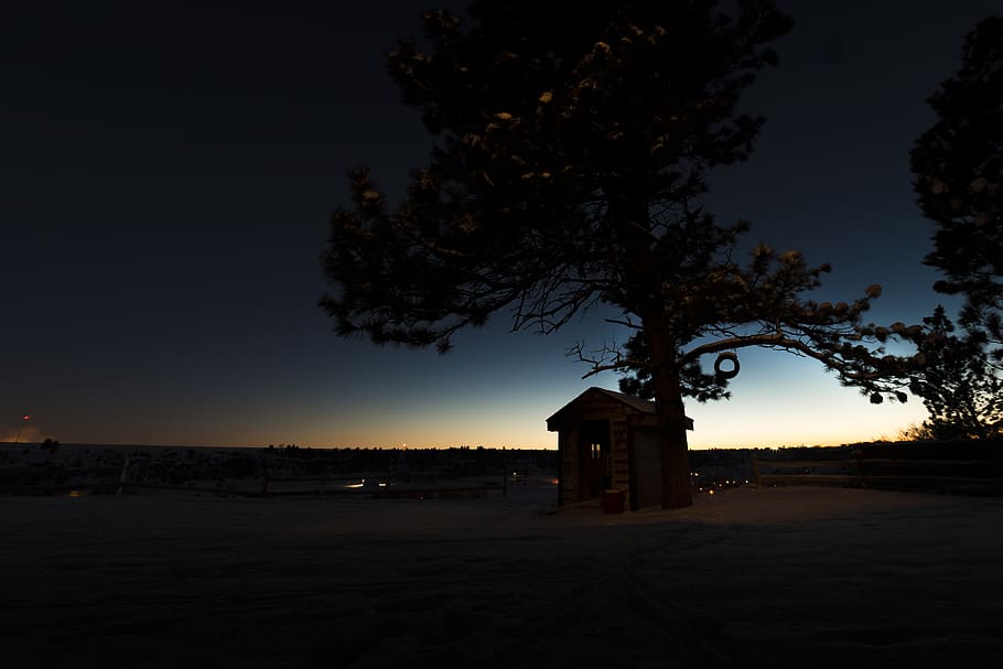 tree, house, light, sun, sunset, night, treehouse, calm, architecture HD wallpaper