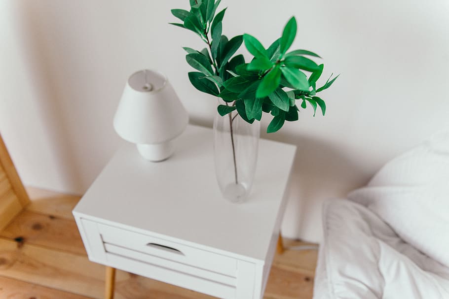 Hd Wallpaper Green Leafed Plant In Clear Glass Vase On Top Of