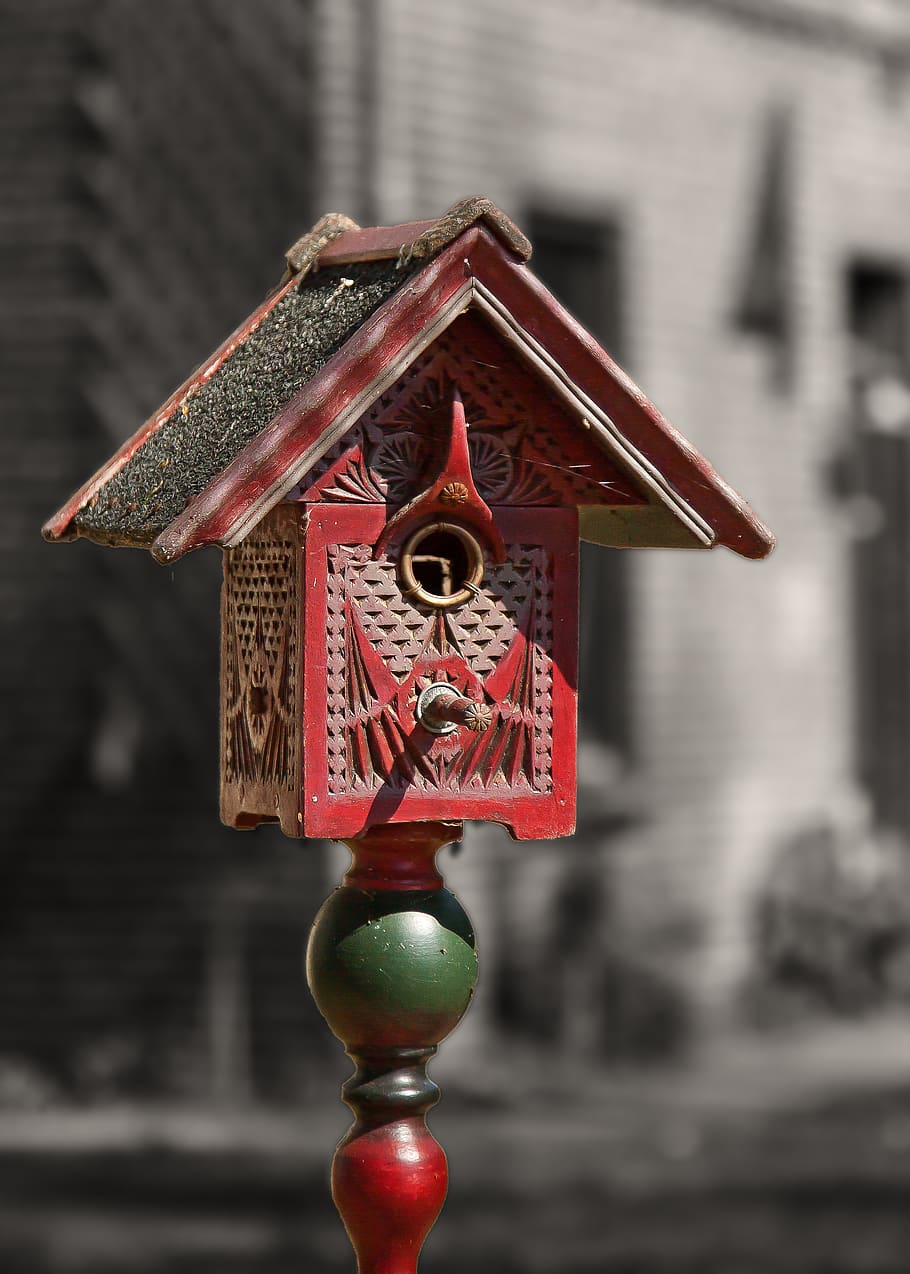 aviary, antique, rustic, weathered, colorful, wood, decoration HD wallpaper
