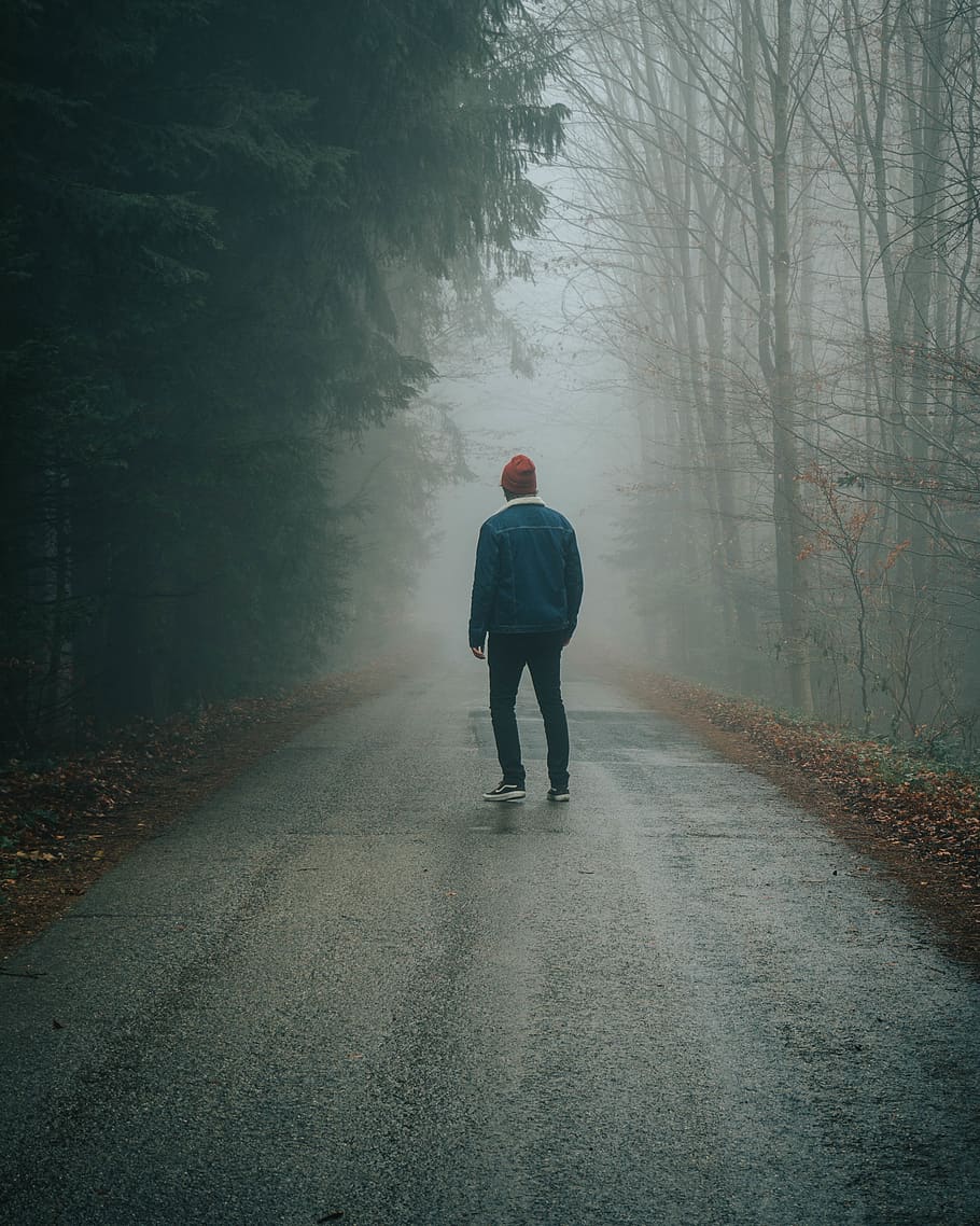 black pants, rear view, tree, the way forward, fog, real people HD wallpaper