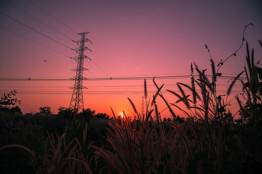 sunset, meadow, background, high voltage, pole, electric, cable, HD wallpaper
