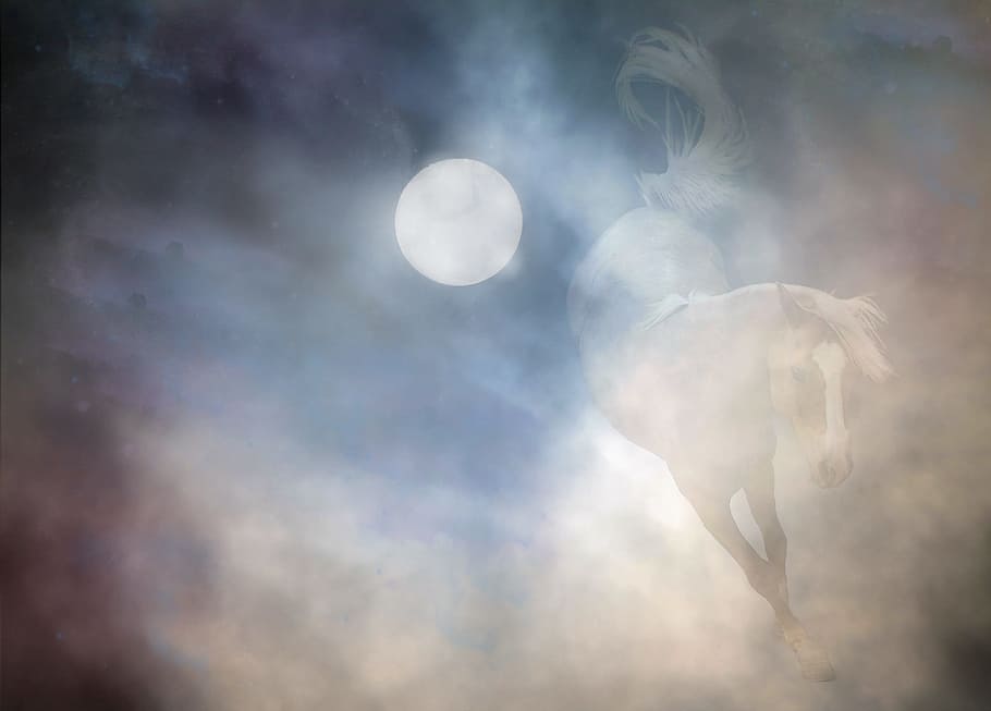 edit, art, horse, wild, animal, nature, moon, sky, cloud - sky HD wallpaper