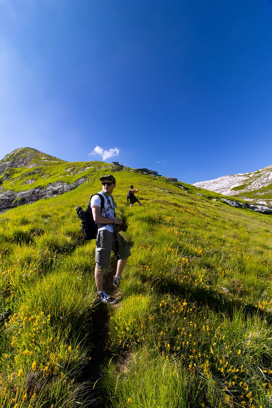 walk, mountain, path, nature, landscape, trail, hiking, excursion HD wallpaper