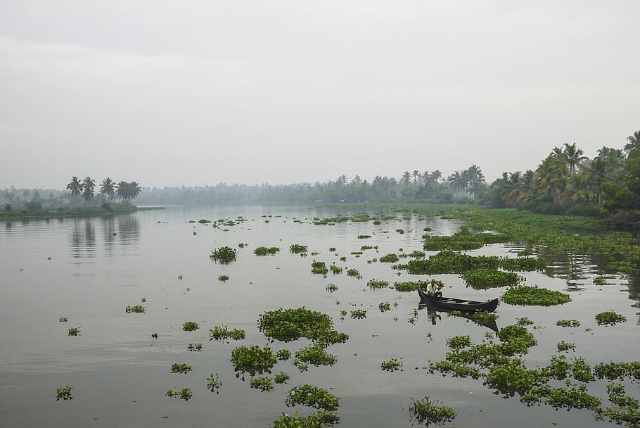 india, kerala, trees, kerela, boat, water, sky, lake, plant HD wallpaper