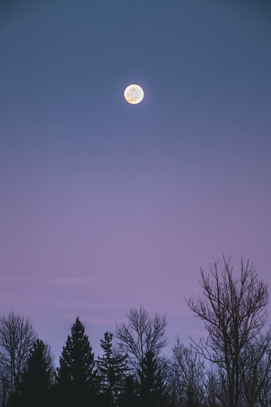 nature, outdoors, moon, night, outer space, universe, astronomy HD wallpaper