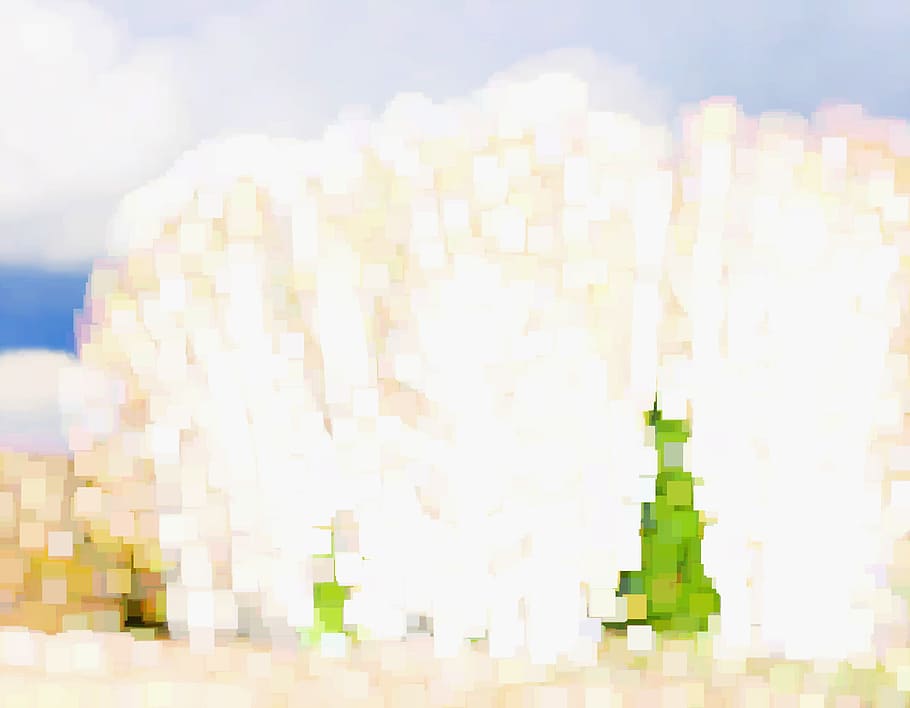 con2011, abstract, background, design, fantasy, funky, graphic HD wallpaper