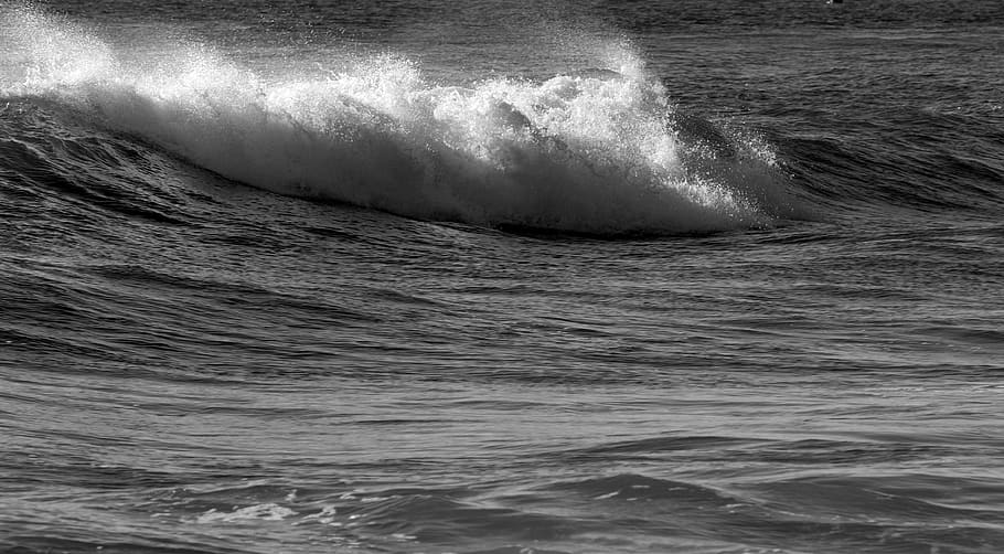 ocean waves, breaking waves, beach, surf, monochrome, florida HD wallpaper