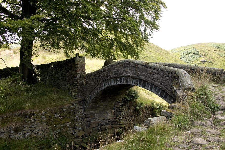 united kingdom, marsden, tree, plant, architecture, built structure HD wallpaper