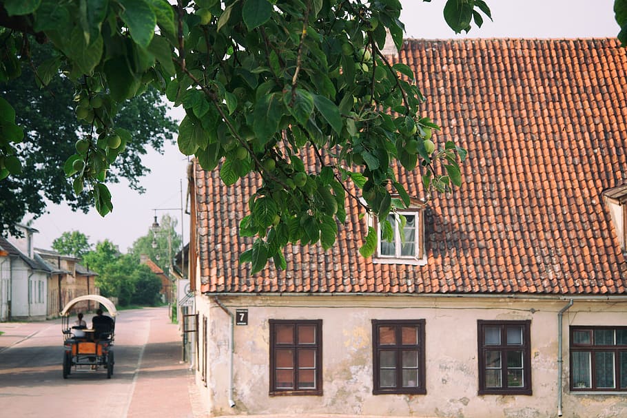 Old town of Kuldiga, apple, apples, architecture, baltic, brick, HD wallpaper