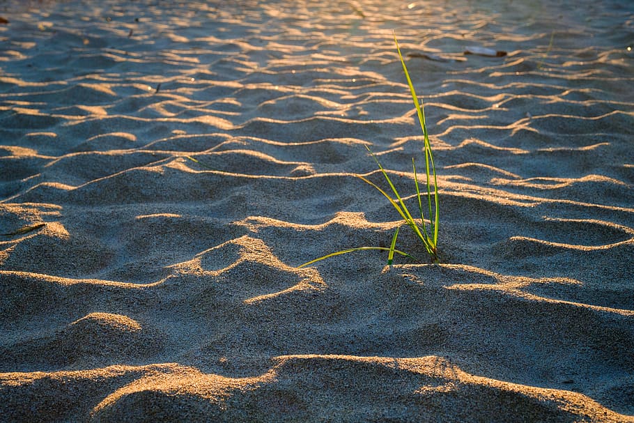 beach, sunset, sand, straw, waves, day, nature, high angle view, HD wallpaper