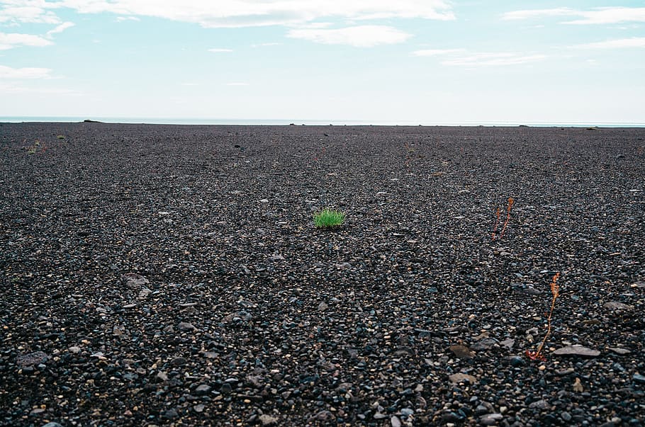 Green Grass Surrounded With Rocks, ground, pebbles, stones, sky HD wallpaper