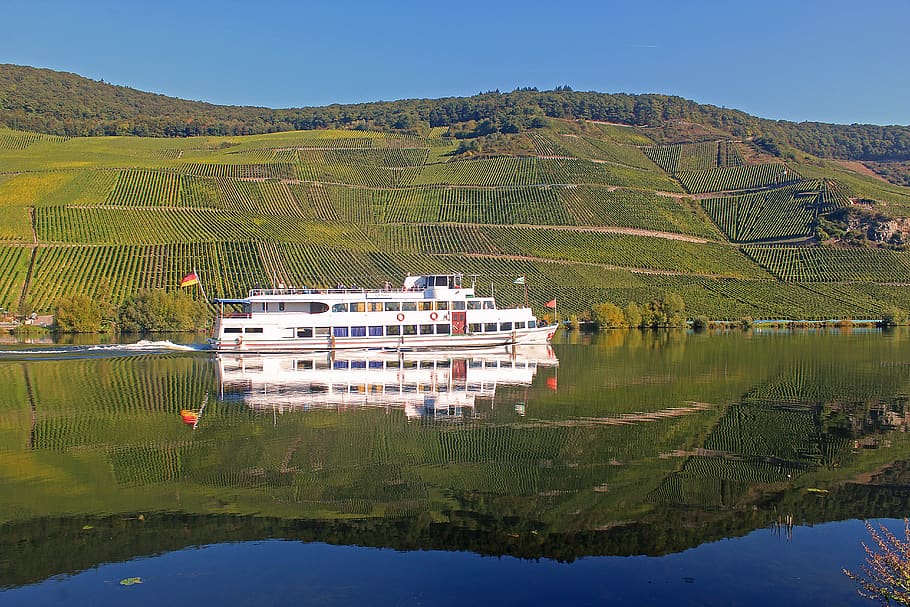 mosel, river, vineyard, ship, germany, mirroring, water, nature HD wallpaper