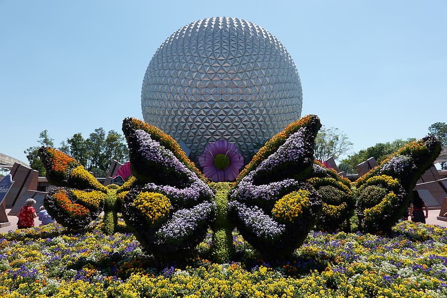 butterfly garden arts near dome structure at daytime, bush, vegetation, HD wallpaper