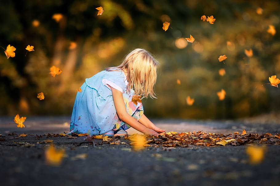 HD wallpaper: child, autumn, childhood, play, nature, girl, leaves, one person Wallpaper Flare