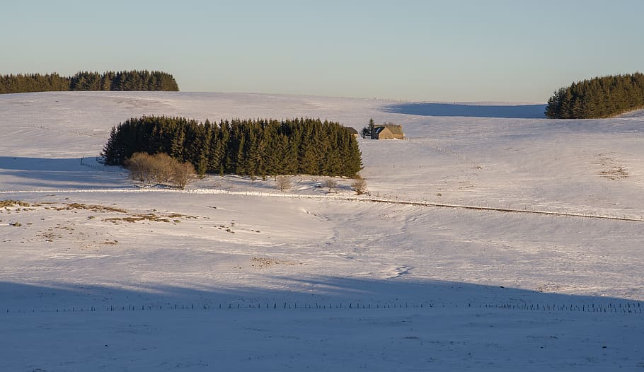 aubrac, sunset, farm, solitude, isolation, fir, plant, tranquil scene HD wallpaper