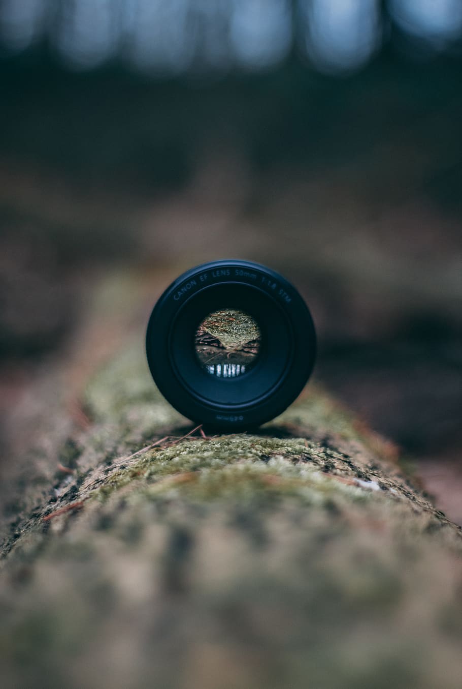 camera lens, deutschland, dannau, electronics, wood, moss, lens cap HD wallpaper