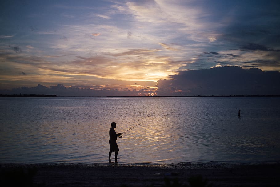 Silhouette of Man Standing on Shoreline, backlit, beach, clouds HD wallpaper