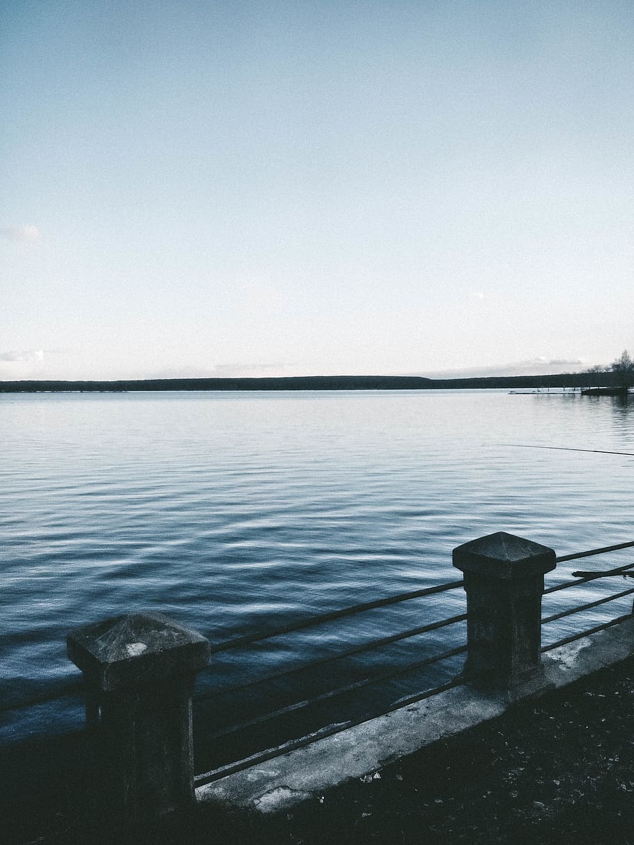 lake, forest, water, river, trees, sky, tranquility, tranquil scene HD wallpaper