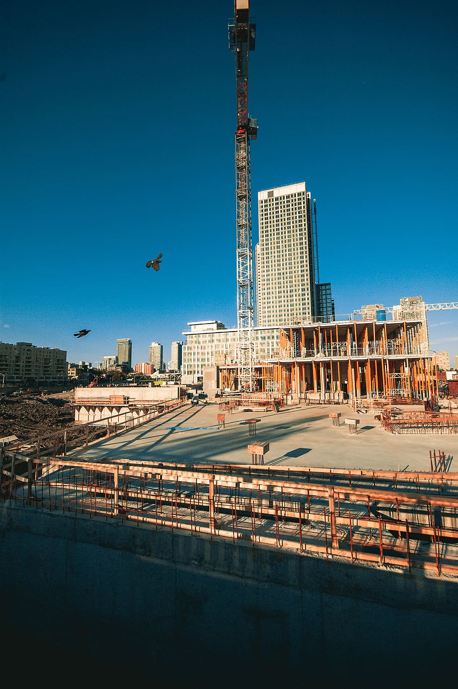 building construction, town, urban, city, office building, downtown HD wallpaper