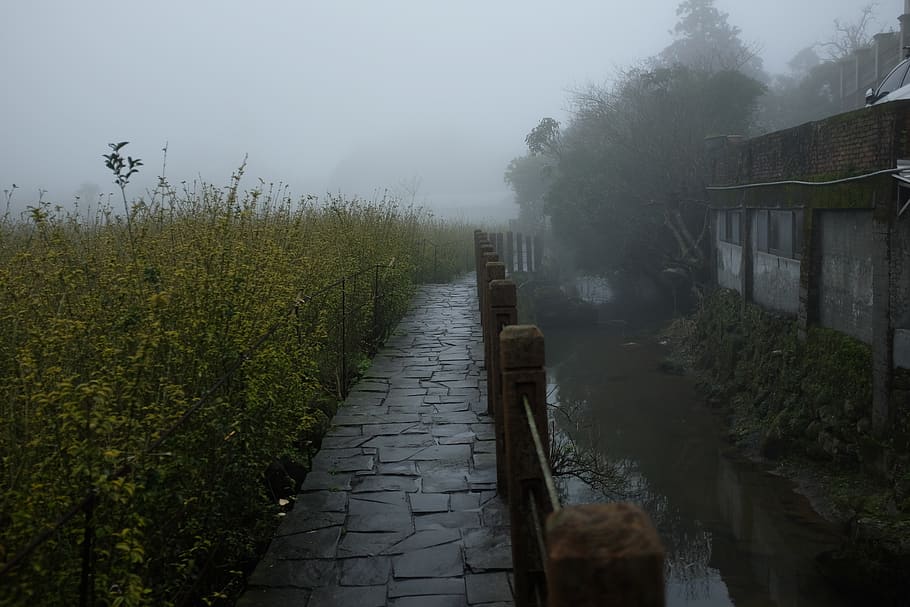 nature, weather, outdoors, path, walkway, flagstone, fog, mist HD wallpaper