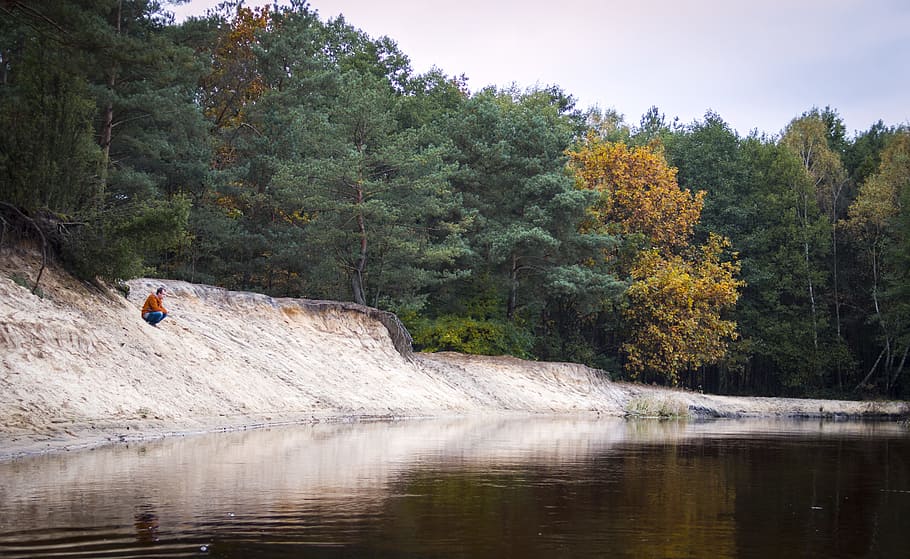 Person Seated Facing Body of Water, autumn, daylight, environment HD wallpaper
