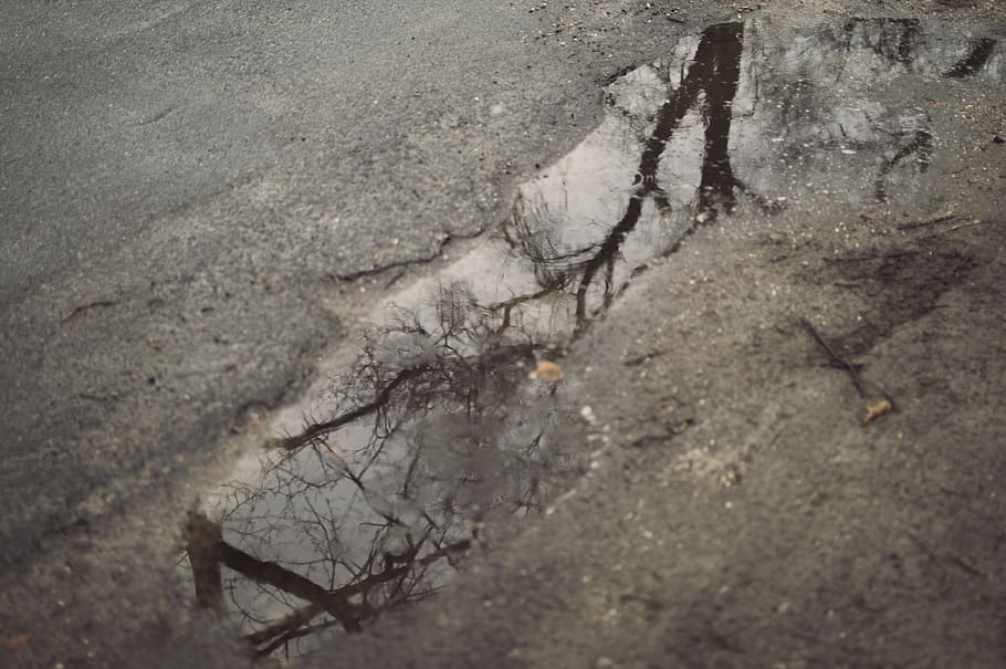 germany, griebnitzsee, tree, water, winter, snow, street, reflection HD wallpaper