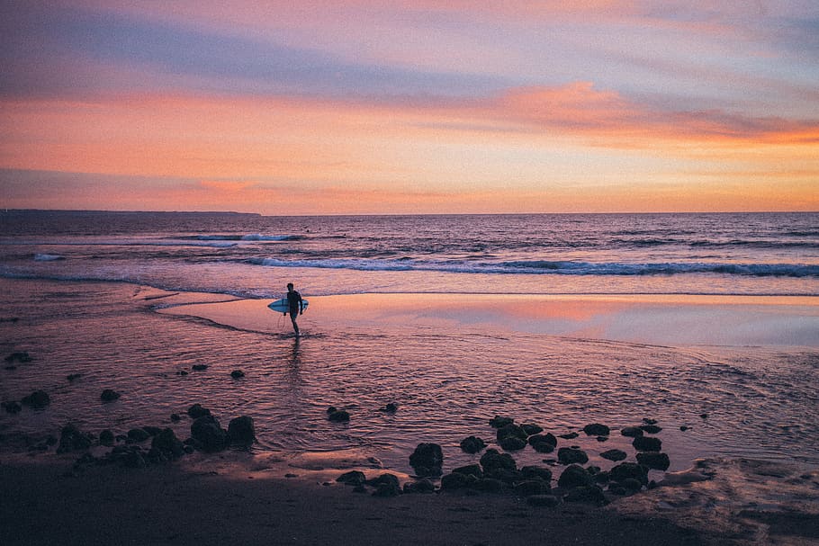 Person Standing On Shore Holding Surfboard, backlit, beach, dawn HD wallpaper