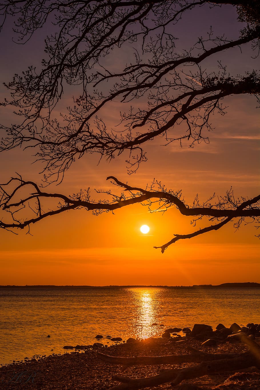sunset, dusk, dawn, tree, evening, silhouette, nature, sky HD wallpaper