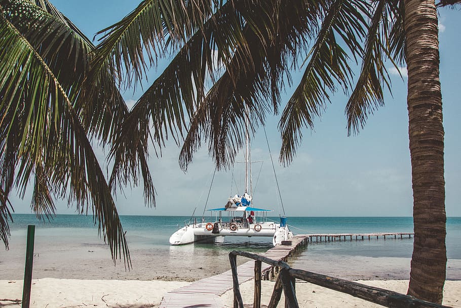 cuba, palmtree, ocean, sky, sand, blue, boat, photography, summer HD wallpaper